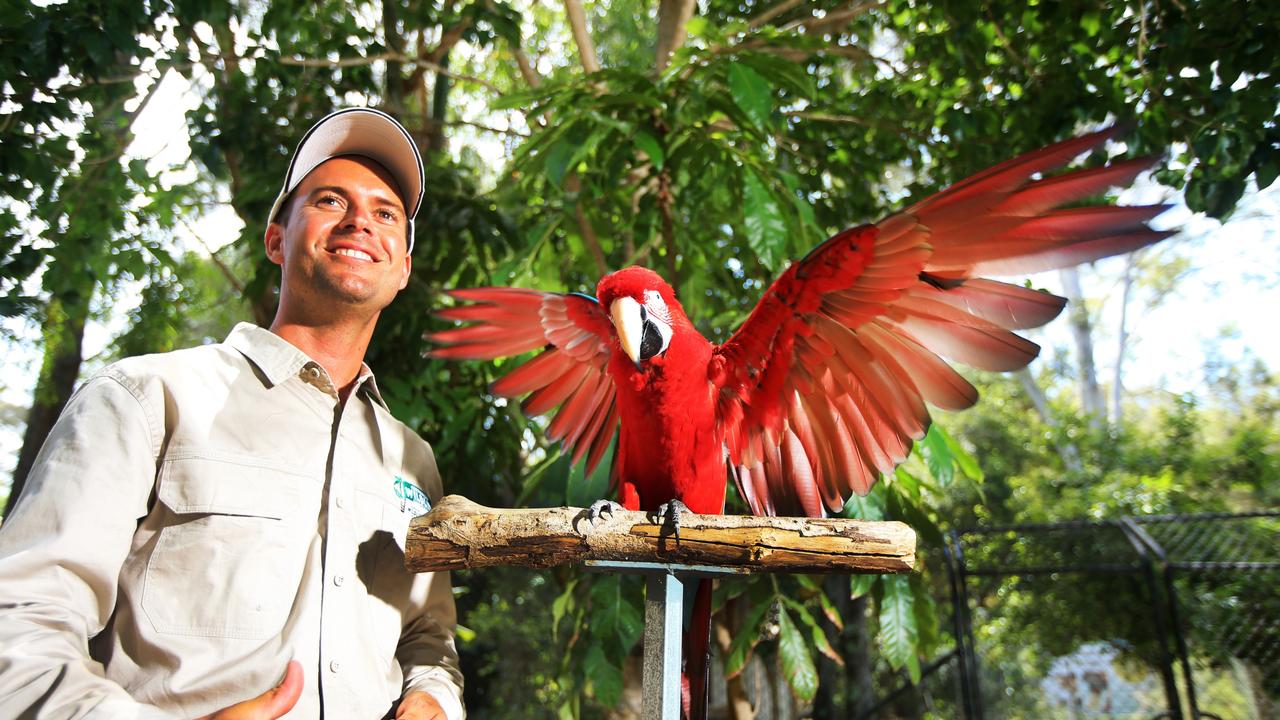 Currumbin Wildlife Sanctuary when it unveils its new free flight bird ...