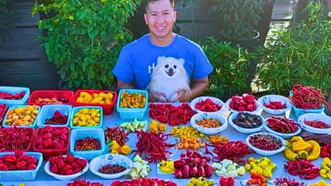 Some of the different types of chillies that will be available to taste. Picture: Contributed