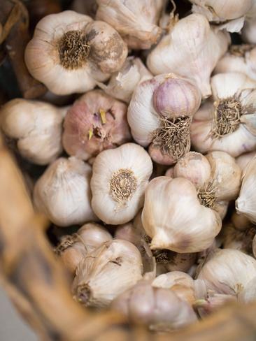 Gourmania Food Tours Tasmania: Garlic