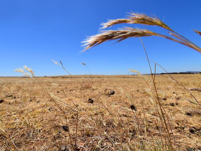 DROUGHT. Weather. Tom & Jenny Small at Tottington, their sheep property near St Arnaud. Dry. Lambs. Wool. WTSocial.Pictured: Landscape. PICTURE: ZOE PHILLIPS