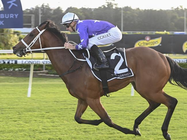 Demiana can start her spring campaign on a winning note at Warwick Farm on Wednesday. Picture: Bradley Photos