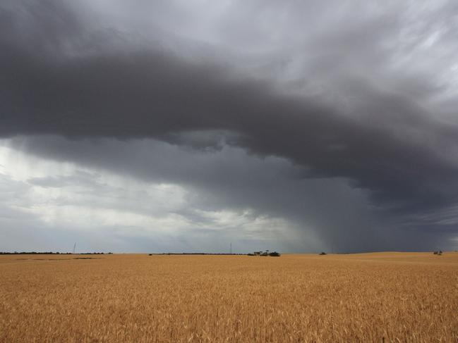 Harvesting at the Gowers family farm near Hattah, between Ouyen and Mildura, as a storm rolls. Picture: GLENN MILNE (crop harvest, harvest, Mallee harvest, weather)