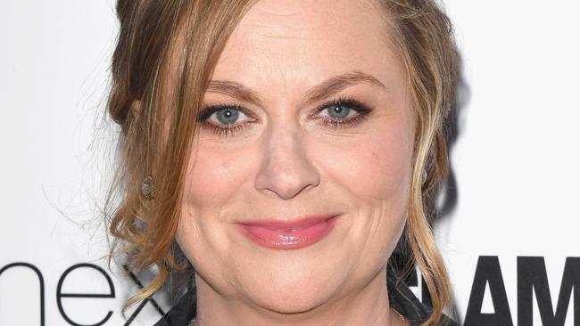 Amy Poehler has been applauded by fans for her brutally honest answers to a lighthearted Q&amp;A. (Photo by Stuart C. Wilson/Getty Images)