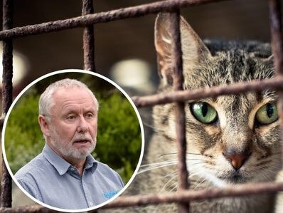 ‘Serious animal welfare concerns’ with council’s cat crackdown