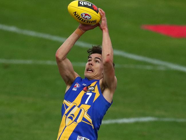 MELBOURNE, AUSTRALIA - MAY 11: Daly Andrews of the Jets marks the ball during the round seven NAB League match between the Western Jets and Dandenong at Downer Oval on May 11, 2019 in Melbourne, Australia. (Photo by Kelly Defina/AFL Photos/Getty Images)