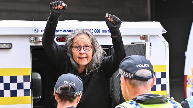 Extinction Rebellion protester Meme Thorne is arrested after being brought down from the Morphett St bridge. Picture: NCA NewsWire / Brenton Edwards