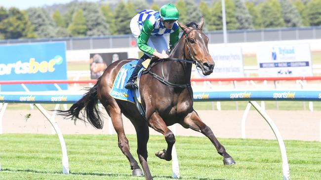 Promising filly Ersa will step up to Group 1 company in Saturday's $1.5m Thousand Guineas at Caulfield. Picture: Racing Photos via Getty Images.