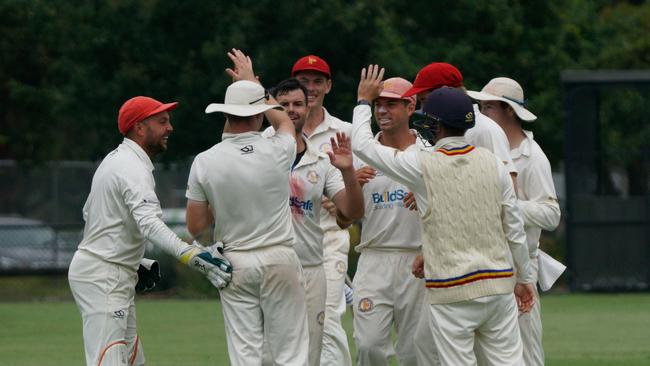 Frankston Peninsula players celebrate a wicket. Picture: Valeriu Campan