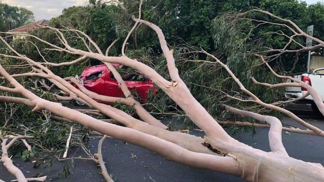 Fortunately no one was inside the car when a tree crushed it. Picture: Parramatta SES