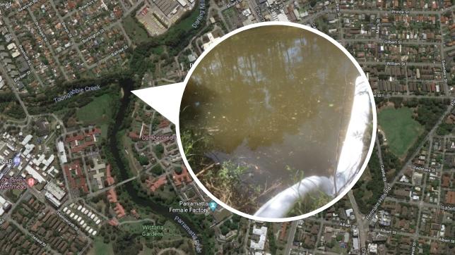 The leak is in a major tributary for Darling Mills Creek and Toongabbie Creek.