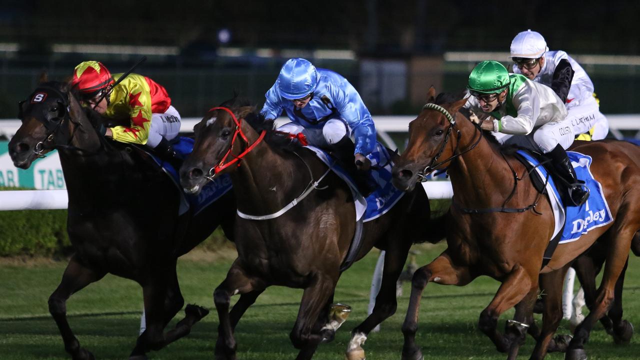 Canterbury conducts midweek and Friday night racing with 22 meetings held there this season. Photo Grant Guy