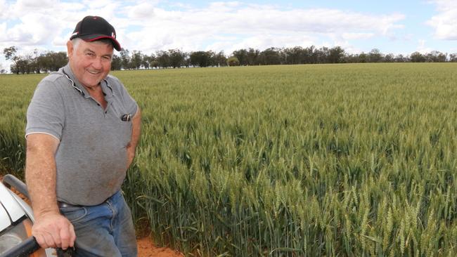 Millewa farmer Ron Hards has been battling stripe rust, but says his wheat and barley are on track to achieve unusually high yields. Picture: Glenn Milne