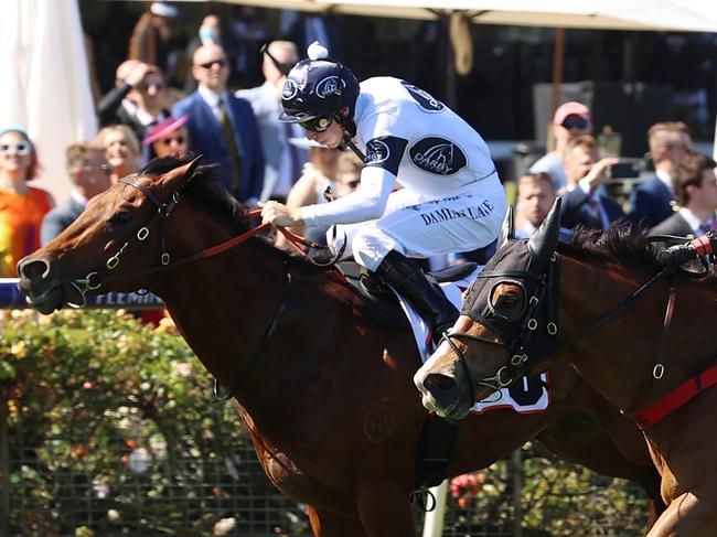 MELBOURNE, AUSTRALIA - NOVEMBER 04: Dean Yendall riding #2 Halvorsen leads Damian Lane riding #8 Malkovich to win race 6, the G.H.Mumm Century Stakes during 2021 Oaks Day at Flemington Racecourse on November 04, 2021 in Melbourne, Australia. (Photo by Robert Cianflone/Getty Images)