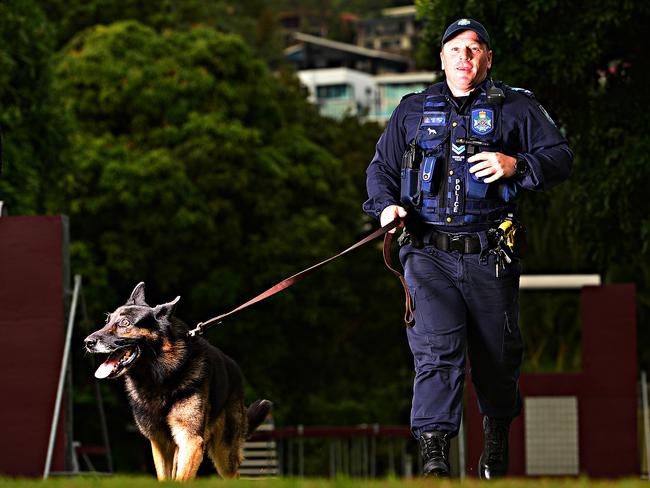 The dog squad was called to track down a man who fled a car crash on the Flinders Highway. Picture: Zak Simmonds