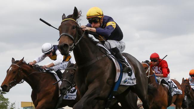 Coeur Volante won the Thousand Guineas Prelude at Caulfield thanks to an outstanding ride from Blake Shinn. Picture: Michael Klein