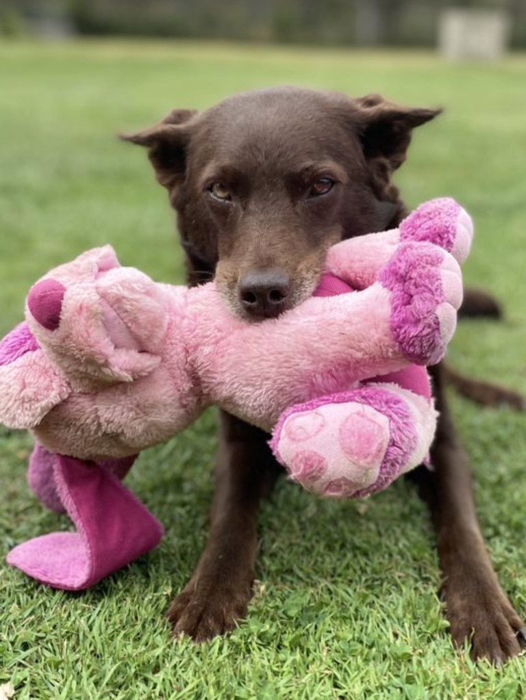 Room to play, her own toys and …