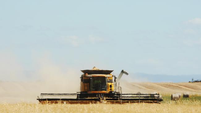 Crop watch: Crops across Victoria are looking for some rain in spring to finish them.