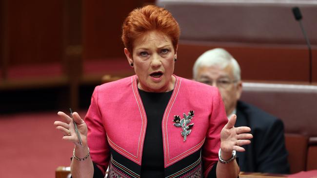 Pauline Hanson Says She’s Not Racist In Senate Speech | News.com.au ...