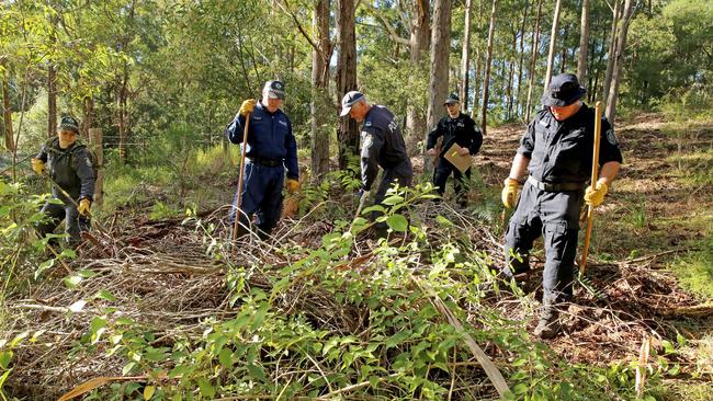 Investigators search bushland at Kendall. Picture: Nathan Edwards