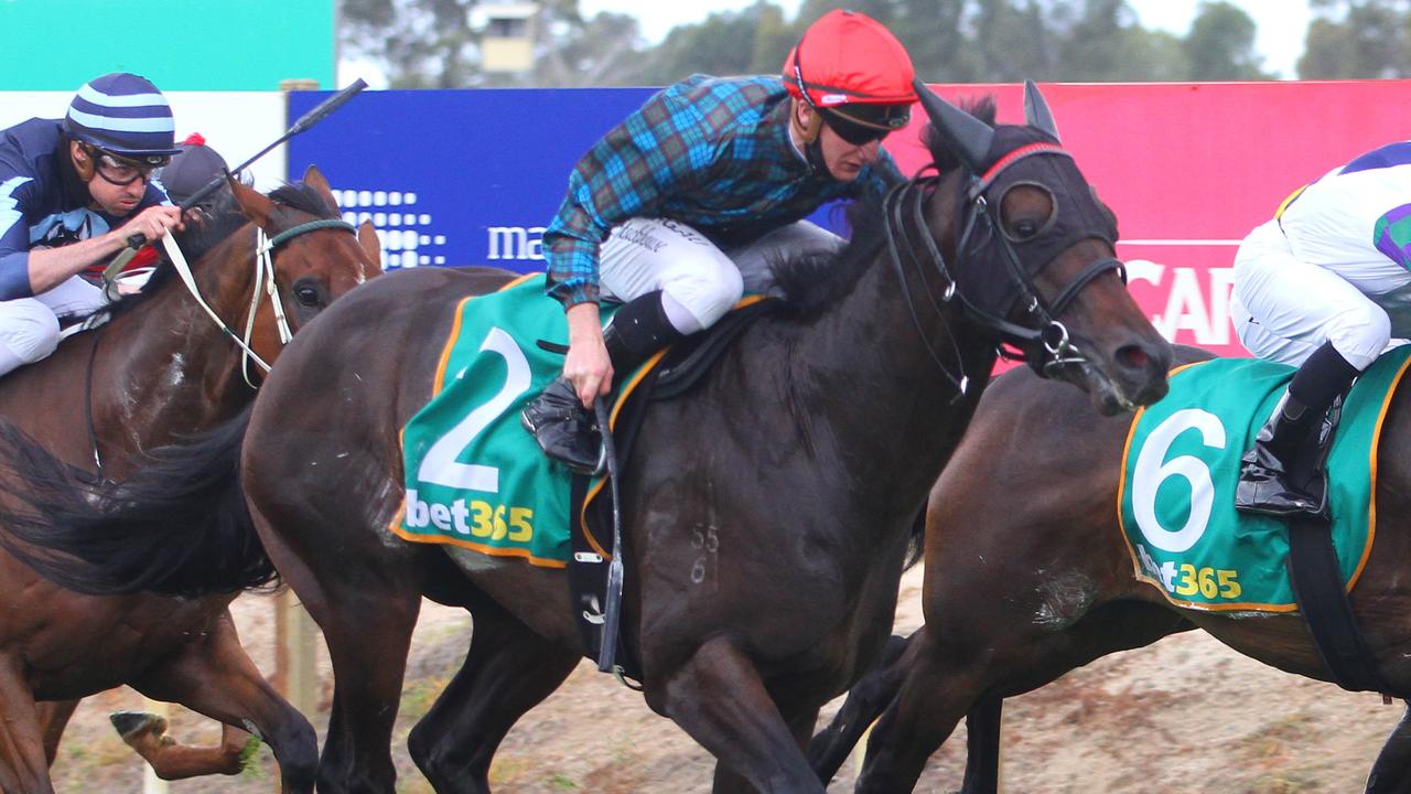 Last year's Benalla Cup winner Harlech will be another runner for trainers Mike Moroney and Pam Gerard in the Group 1 Zabeel Classic at Ellerslie on Boxing Day. Picture : Racing Photos via Getty Images.