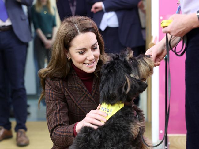 LONDON, ENGLAND - JANUARY 14: Catherine, Princess of Wales meets Scout the therapy dog during a visit to The Royal Marsden Hospital on January 14, 2025 in London, England. The Prince and Princess of Wales have today become Joint Patrons of The Royal Marsden NHS Foundation Trust following a visit by Her Royal Highness to the hospitalÃ¢â¬â¢s Chelsea site. The PrincessÃ¢â¬â¢ own personal cancer journey saw her receive treatment from The Royal Marsden. The Royal Marsden opened its doors in 1851 as the worldÃ¢â¬â¢s first hospital dedicated to cancer diagnosis, treatment, research and education. (Photo by Chris Jackson/Getty Images)