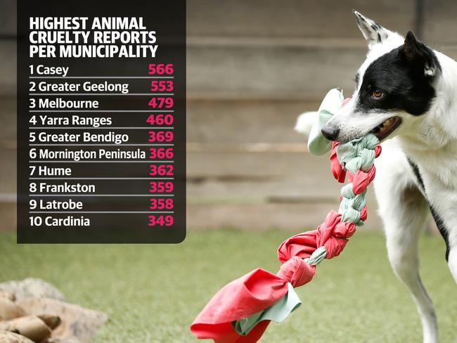RSPCA animal cruelty list shows Melbourne's southeast suburbs have highest  reports in state | Herald Sun