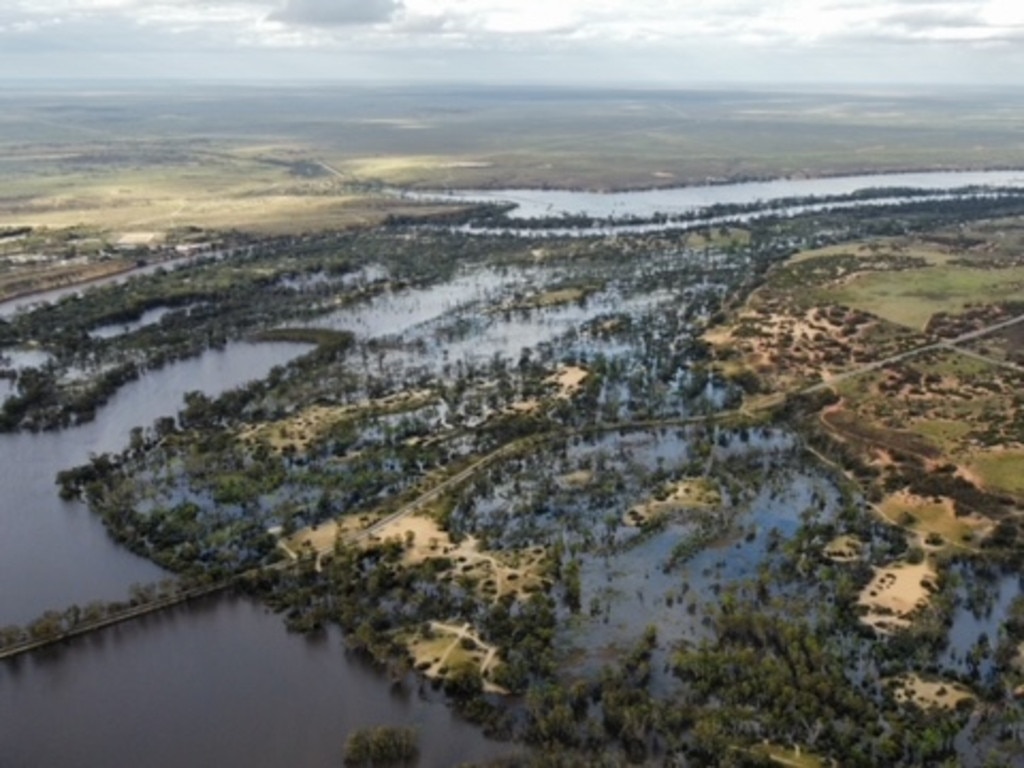 Drone shots of a flooded River Murray near Morgan, SA, on November 15. Pictures: Cody Campbell