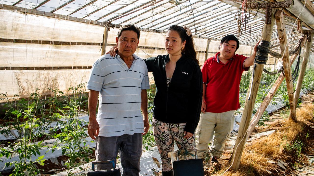 Kit, Elaine and Michael Xuan, among the broken glass inside just one of their glasshouses in Buckland Park, SA on Thursday, October 28, 2021. (The Advertiser/ Morgan Sette)