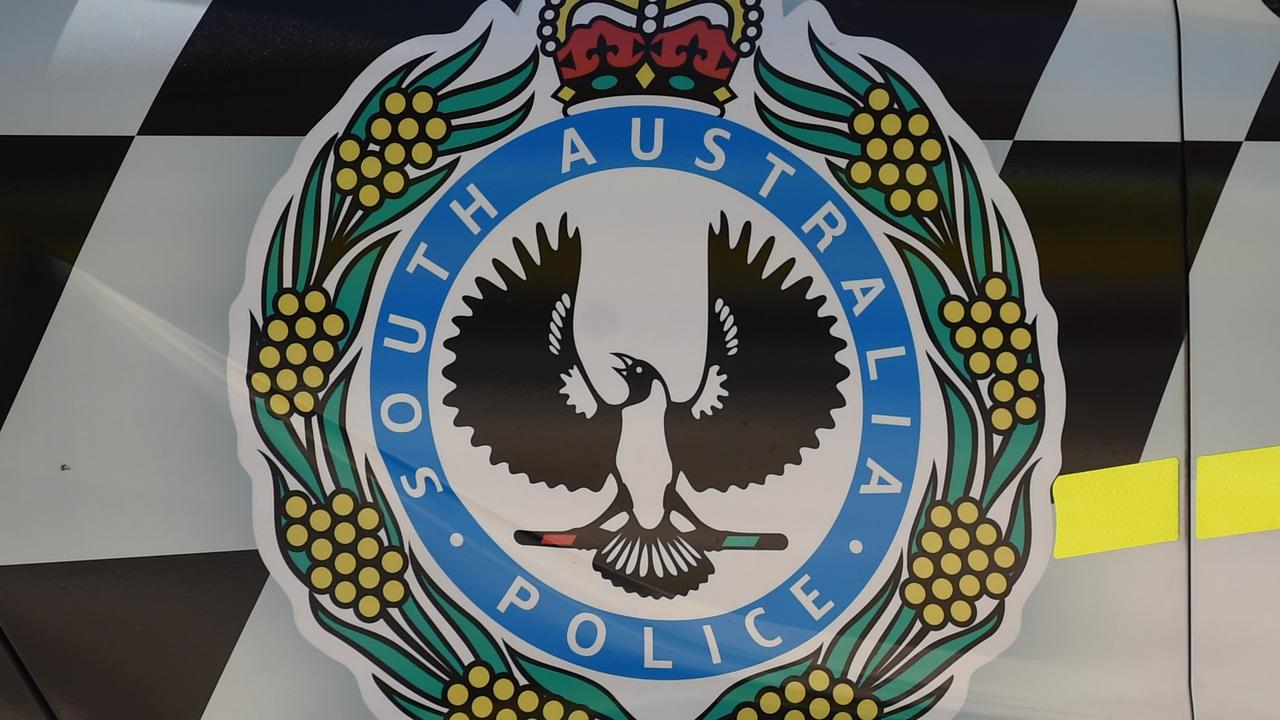 Five teens arrested as police call in Polair, dog squad