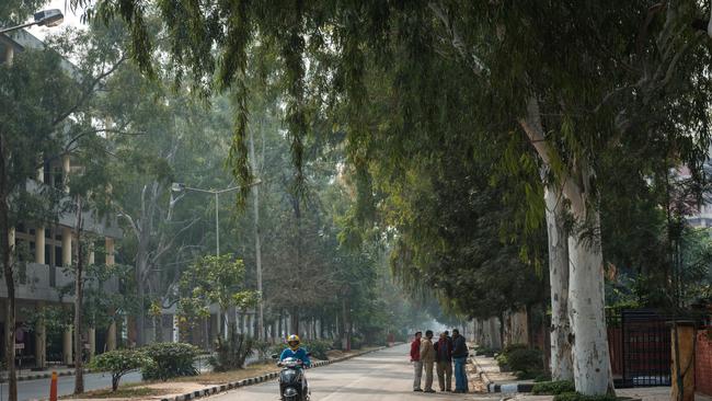 The wide tree-lined avenues of the modern city of Chandigarh, India. Picture: Alamy.