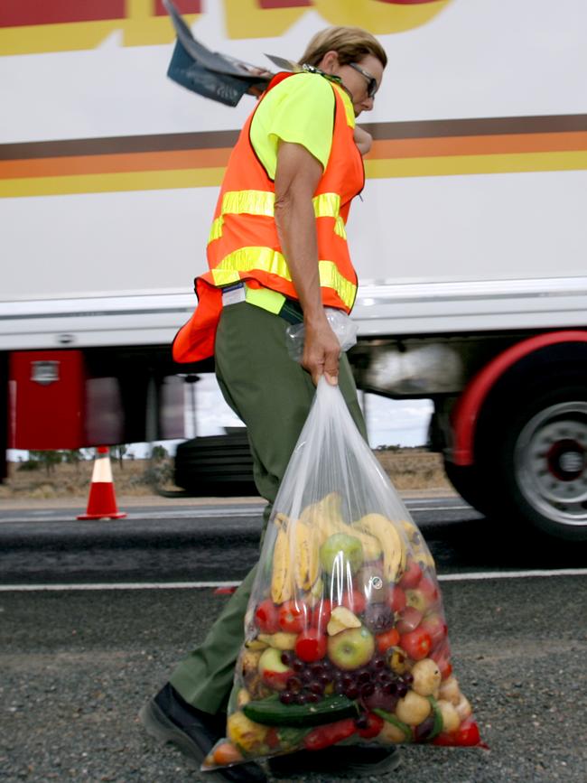 A quarantine officer carries a bag of confiscated fruit. 