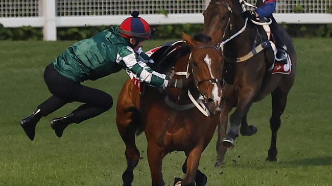 Via Sistina unseats James McDonald at The Valley on Tuesday. Picture: Michael Klein