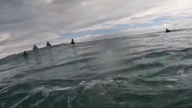 Mr Wilkinson stayed calm and alerted fellow surfers. Picture: Storyful