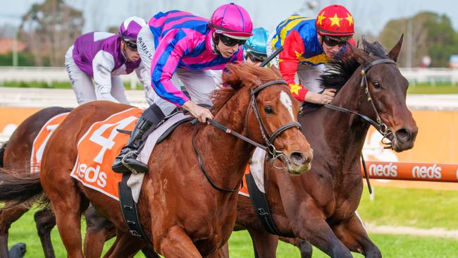 Damian Lane pilots Absolute Flirt to victory, one of his three winners at Caulfield. Picture: Racing Photos via Getty Images