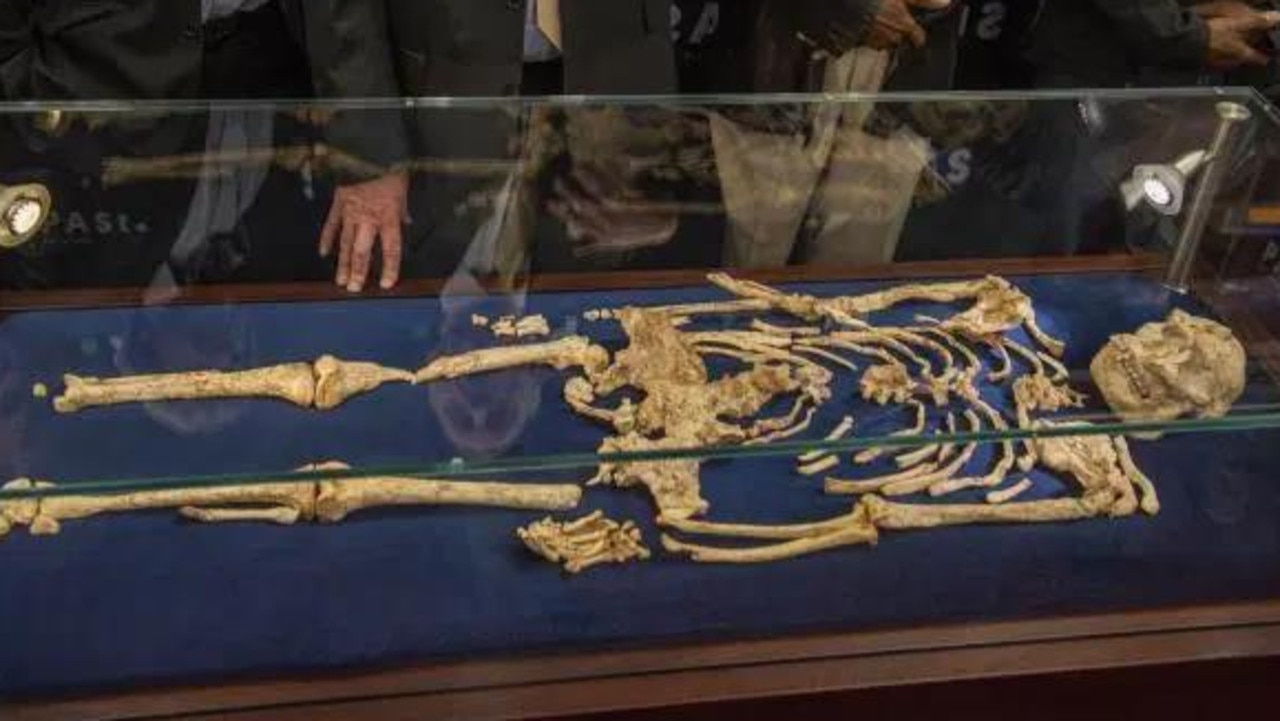 Scientists made the discovery using CT scans of a near-complete skeleton of out ancient ancestor Australopithecus. Picture: AFP