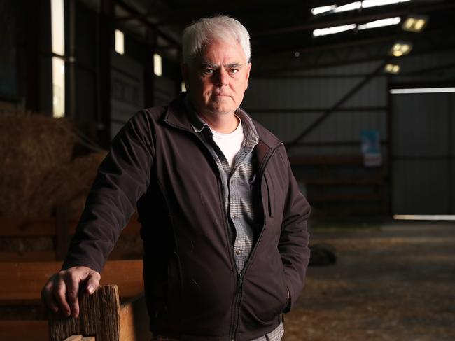 Scott Gadd CEO of the Royal Agricultural Society of Tasmania. Picture: Nikki Davis-Jones