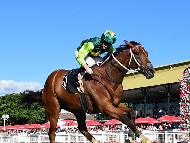 Yellow Brick moves to within touching distance of scoring a spot in the Group 1 Stradbroke Handicap with his win at Eagle Farm on Saturday. Picture: Grant Peters, Trackside Photography.