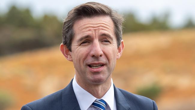 Trade Minister Simon Birmingham. Picture: AAP