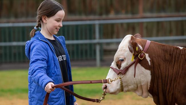 Florence Fuller, 10, is all set for the Royal Adelaide Show next month. Picture: Brett Hartwig