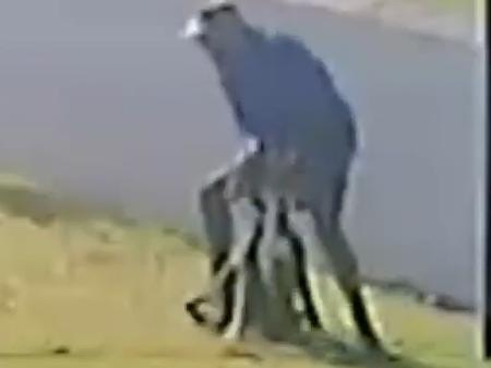 Man filmed bashing dog in North Queensland.