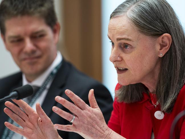 CANBERRA, AUSTRALIA, NewsWire Photos. FEBRUARY 5, 2024: Diane Brown Deputy Secretary for the Revenue Group at the Treasury appears before the Coalition-led cost of living inquiry at Parliament House in Canberra. Picture: NCA NewsWire / Martin Ollman