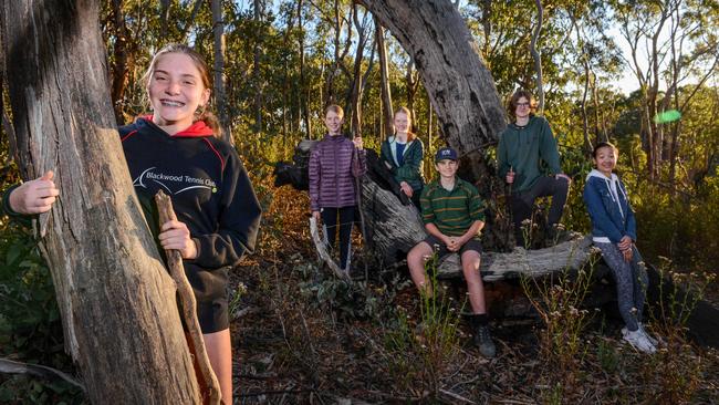 Student volunteers from Bush Buddies Zoe, Isla, Annecy, Mick, Tom and Lele at Belair National Park. Picture: Brenton Edwards