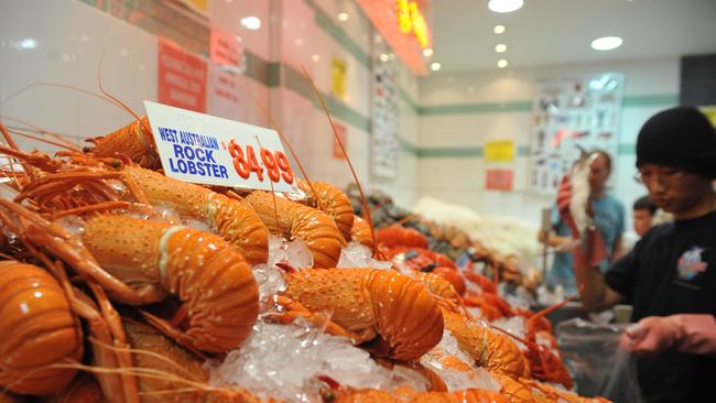 The rock lobster industry was hit especially hard by the tariffs. Picture: AAP Image/Joel Carrett