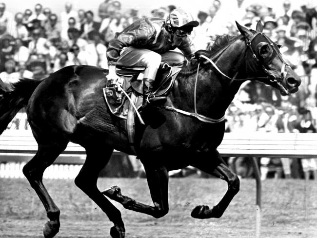 In 1986, At Talaq became Sheikh Hamdan bin Rashid Al Maktoum’s first Melbourne Cup winner.