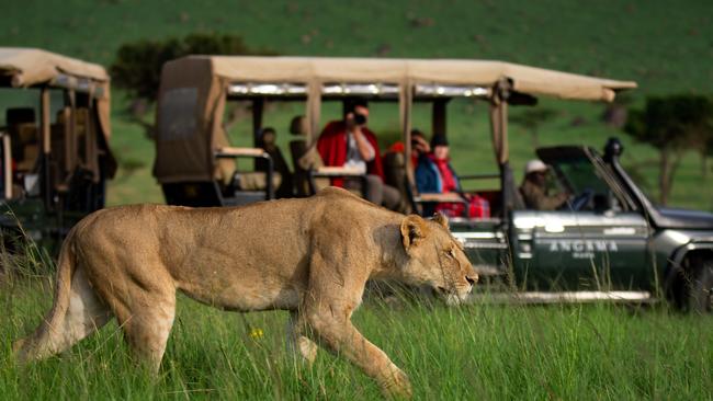 The Angama Mara safari in Kenya.
