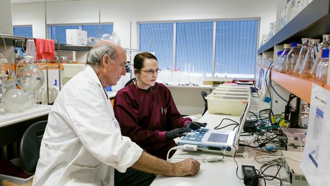 JCU’s Professor Geoff Dobson and Dr Hayley Letson at work in the lab. Picture: Andrew Rankin