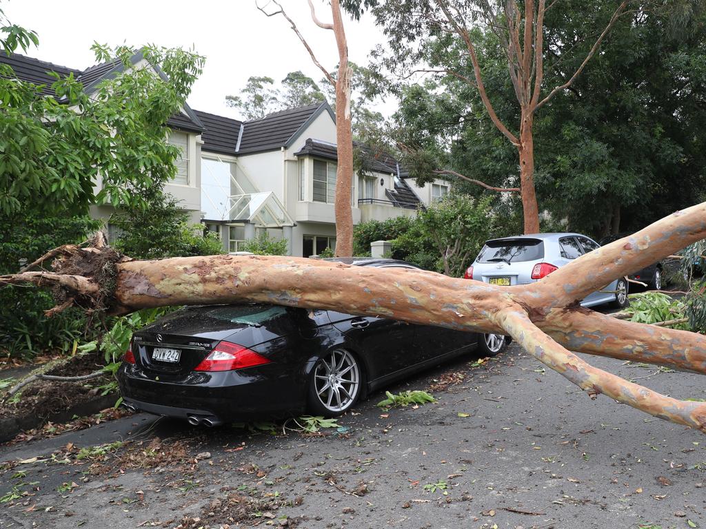 A storm has ripped through the north shore damaging trees &amp; cars here in Dumaresq st Gordon the damage is evident. Picture: John Grainger