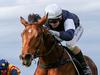 Melbourne Cup field reduced after scratching