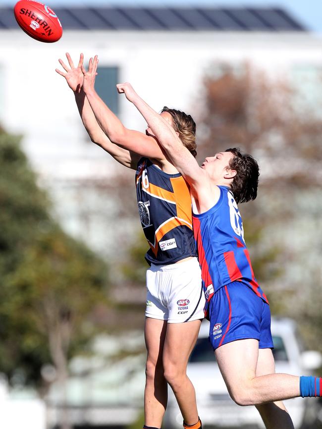 Jack Bytel pulls in a contested mark for Calder Cannons. Picture: Mark Dadswell