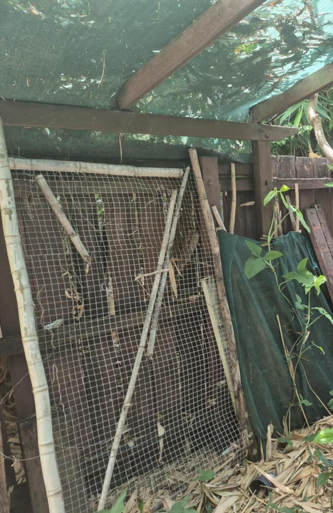 Neighbours allege that family members of the family have visited the property, but not much has been done to clear the overgrown yard.